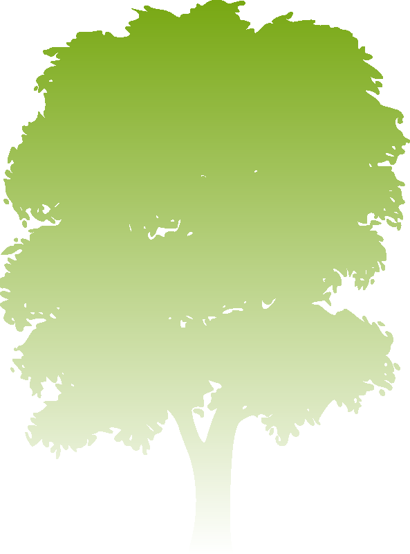 Baum
